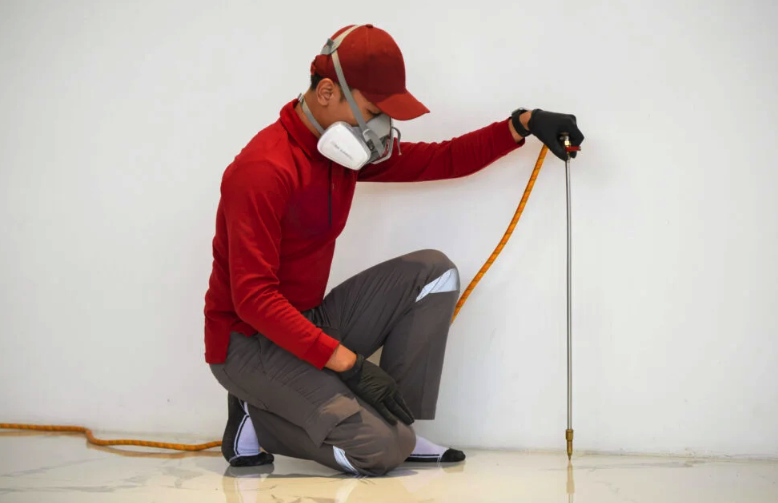 anti rayap yogyakarta